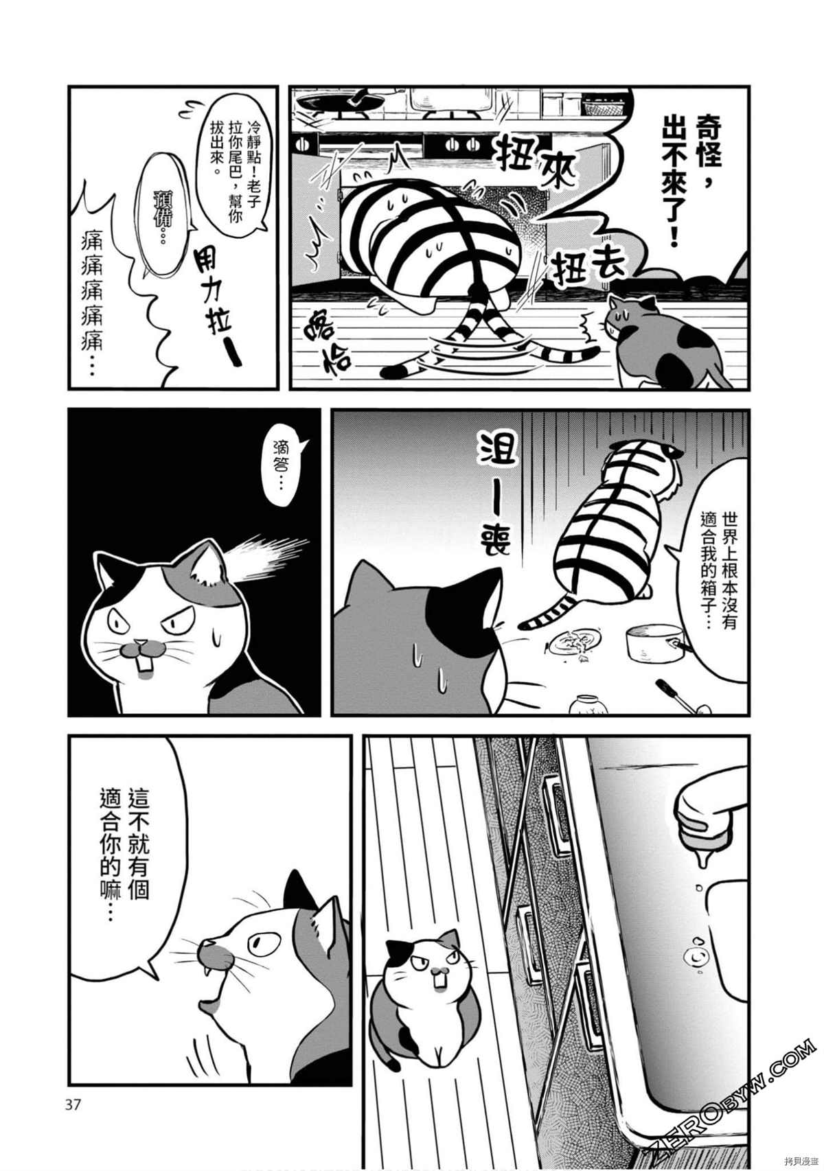 第36页