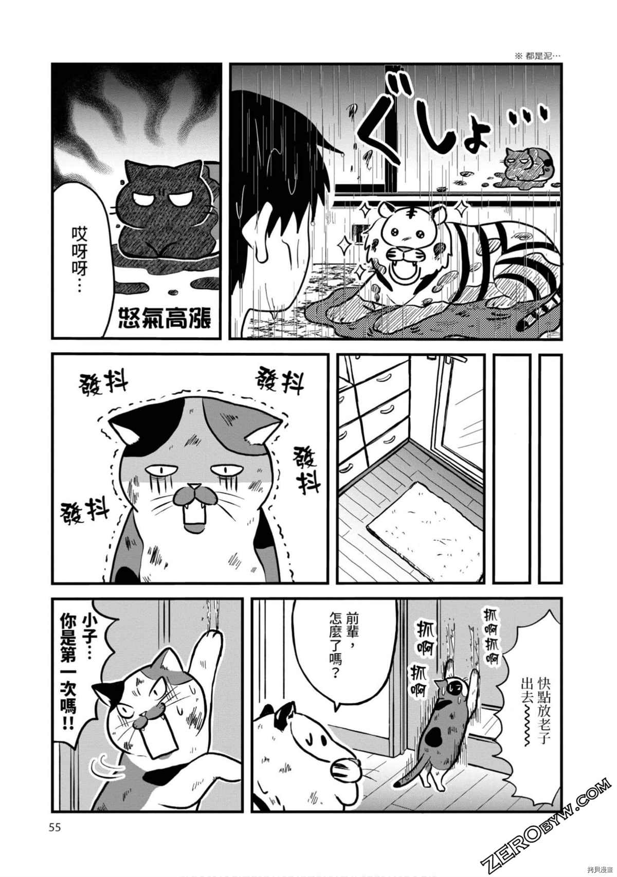 第54页