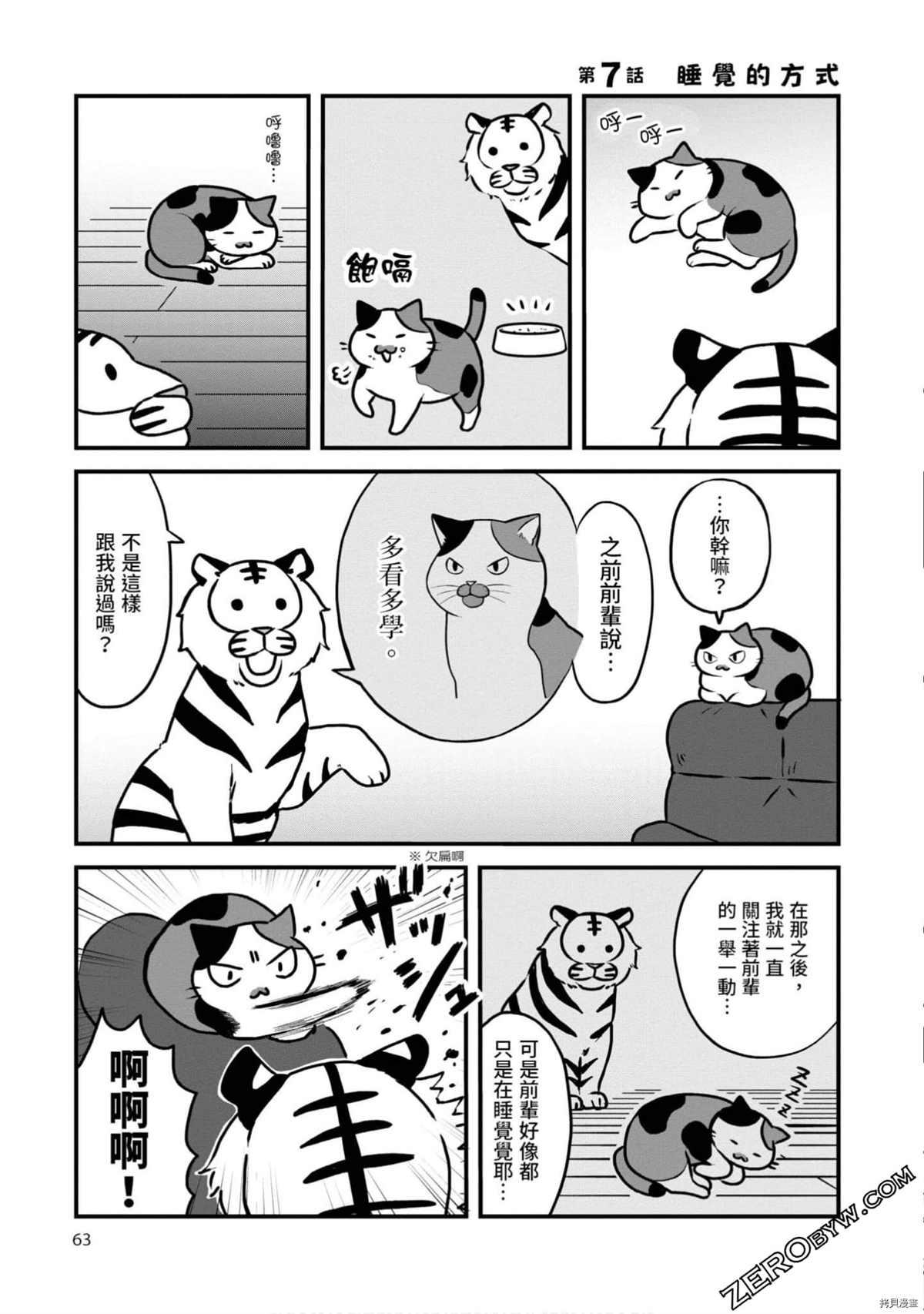 第62页