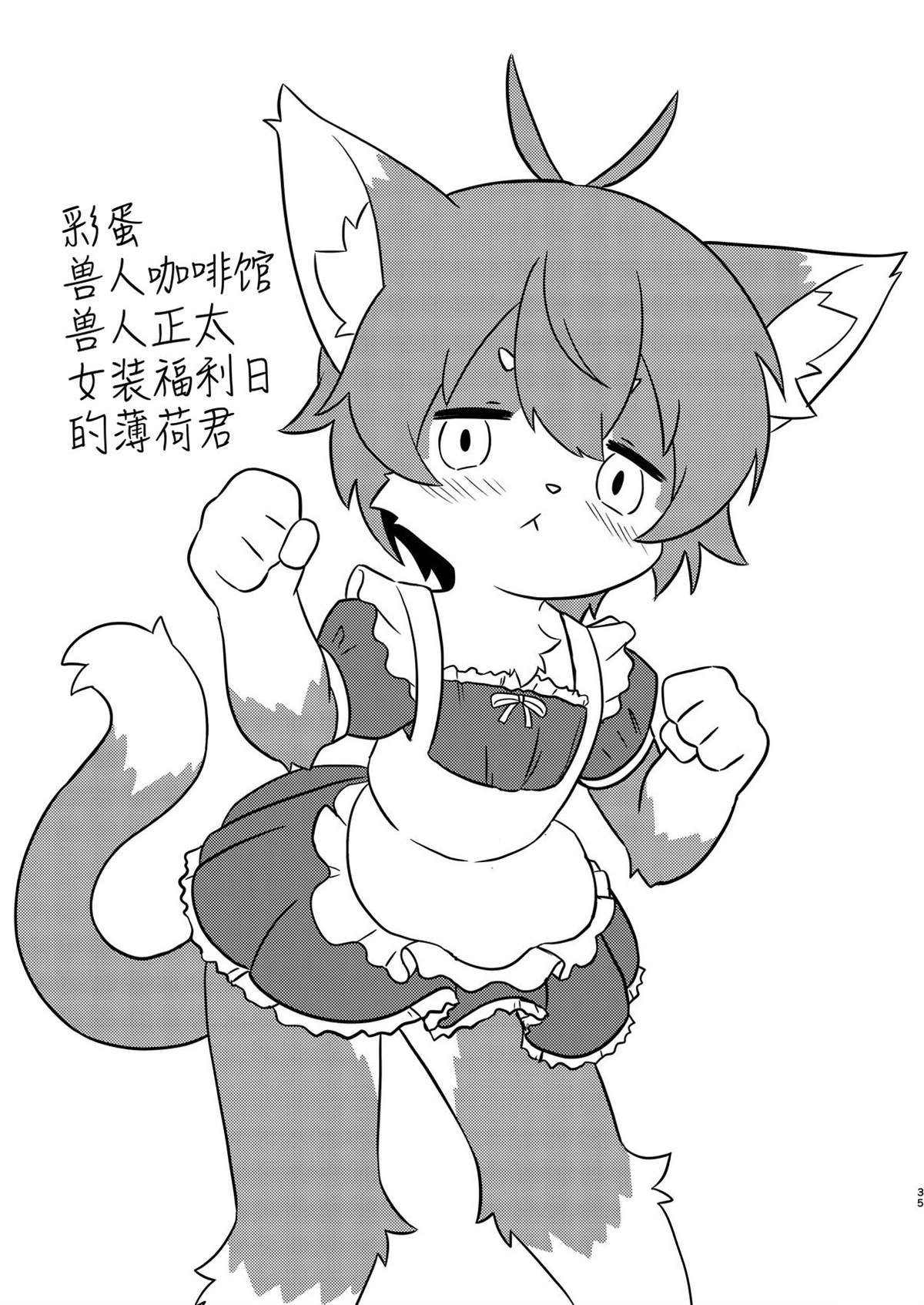 第33页