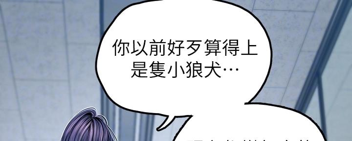 第191页