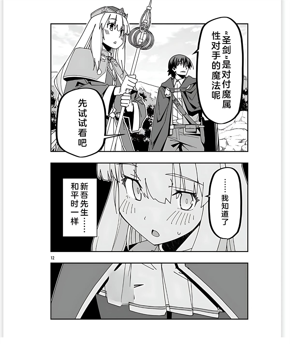 第12页