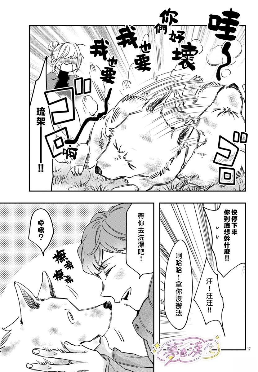 第17页