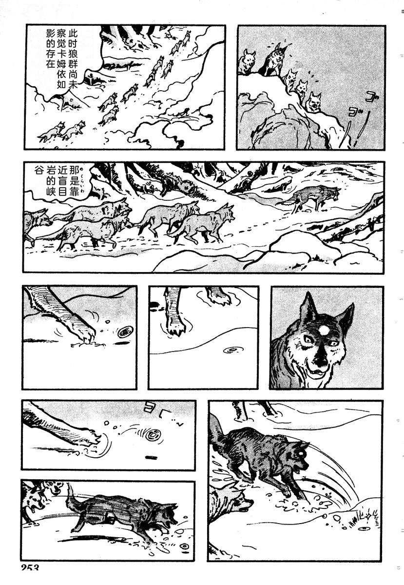 第256页
