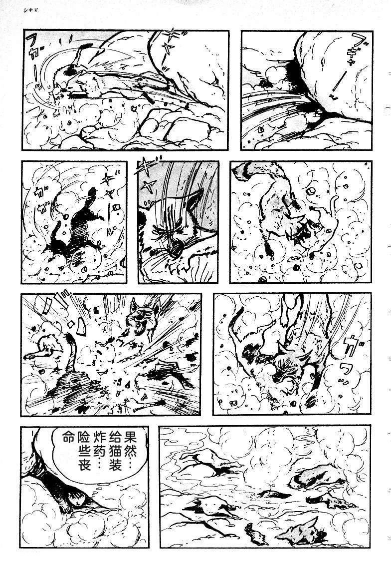 第367页
