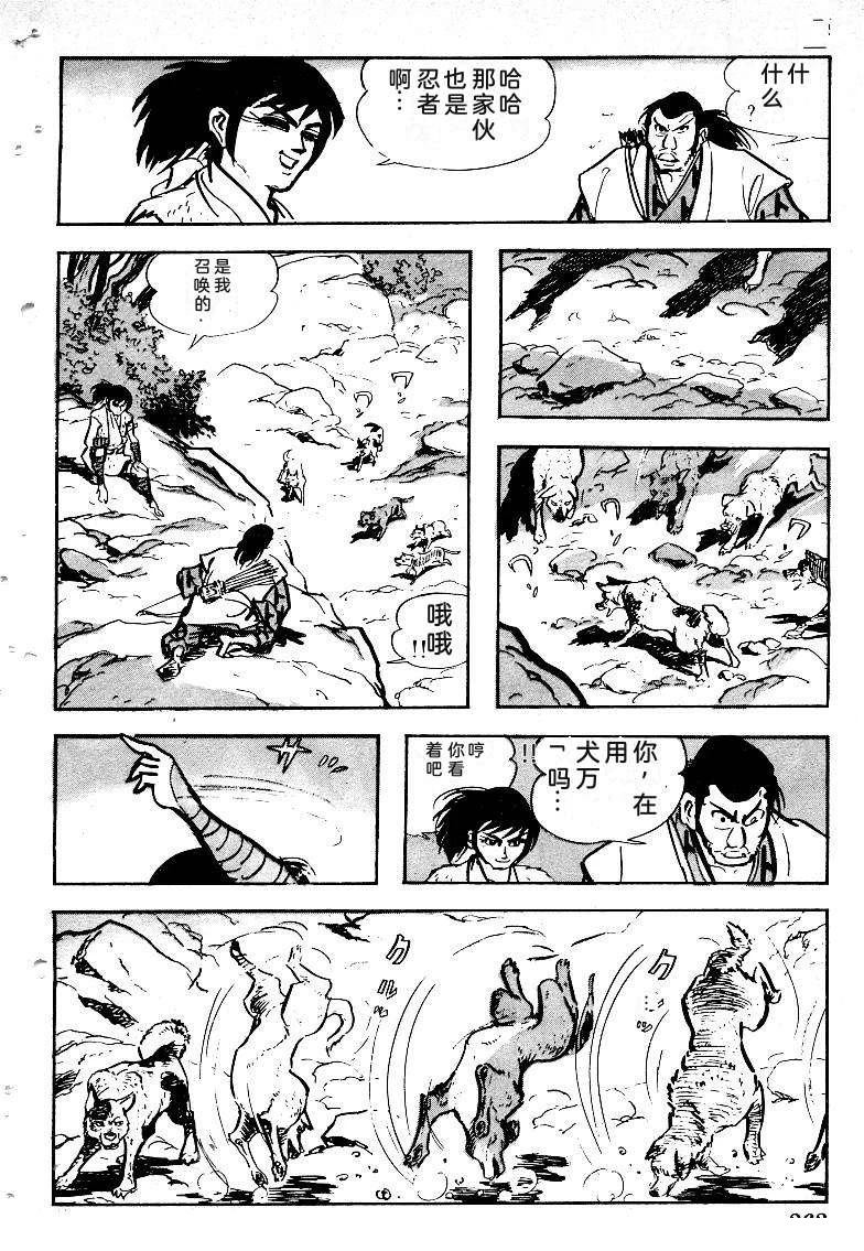 第262页