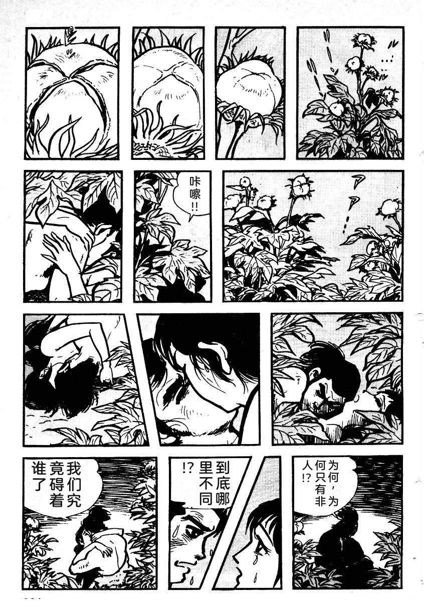 第231页