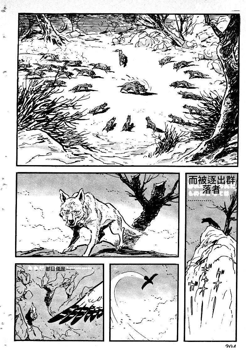 第204页