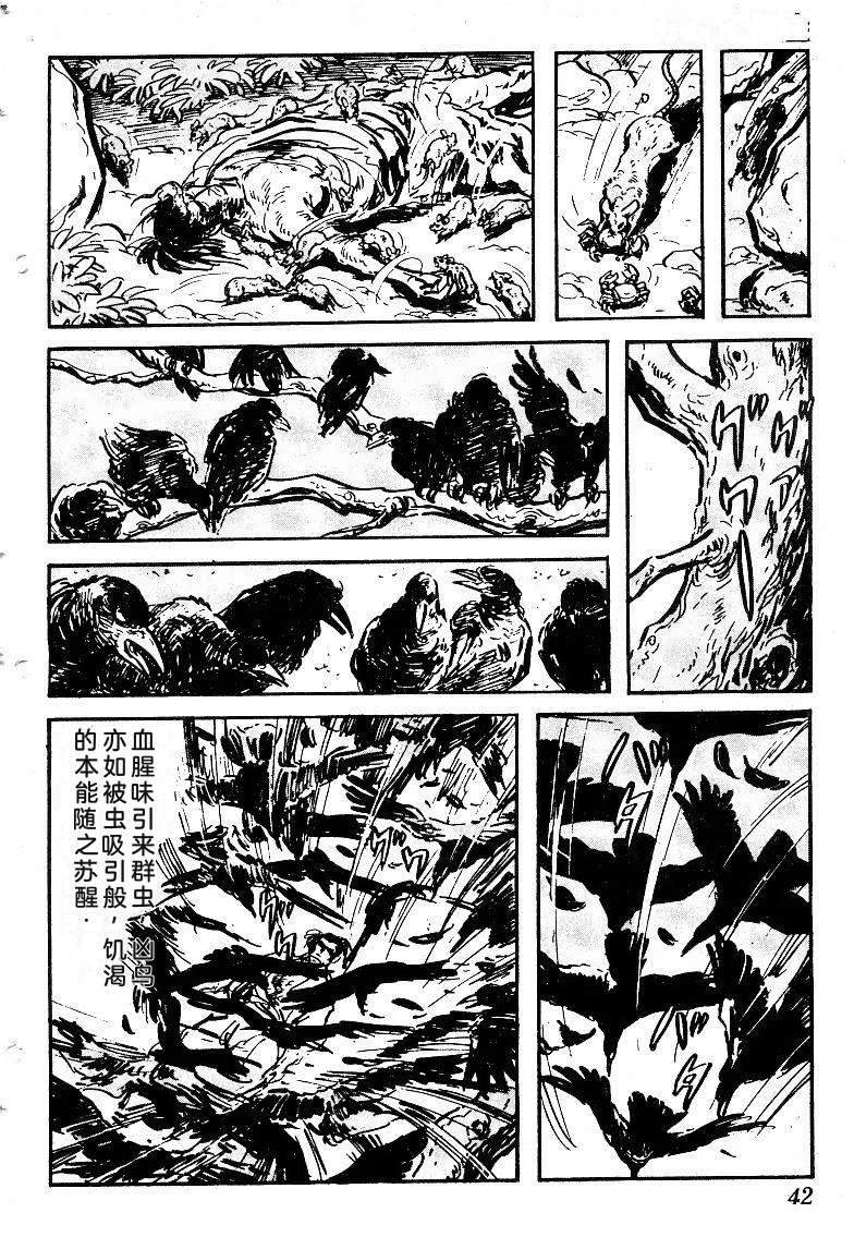 第45页