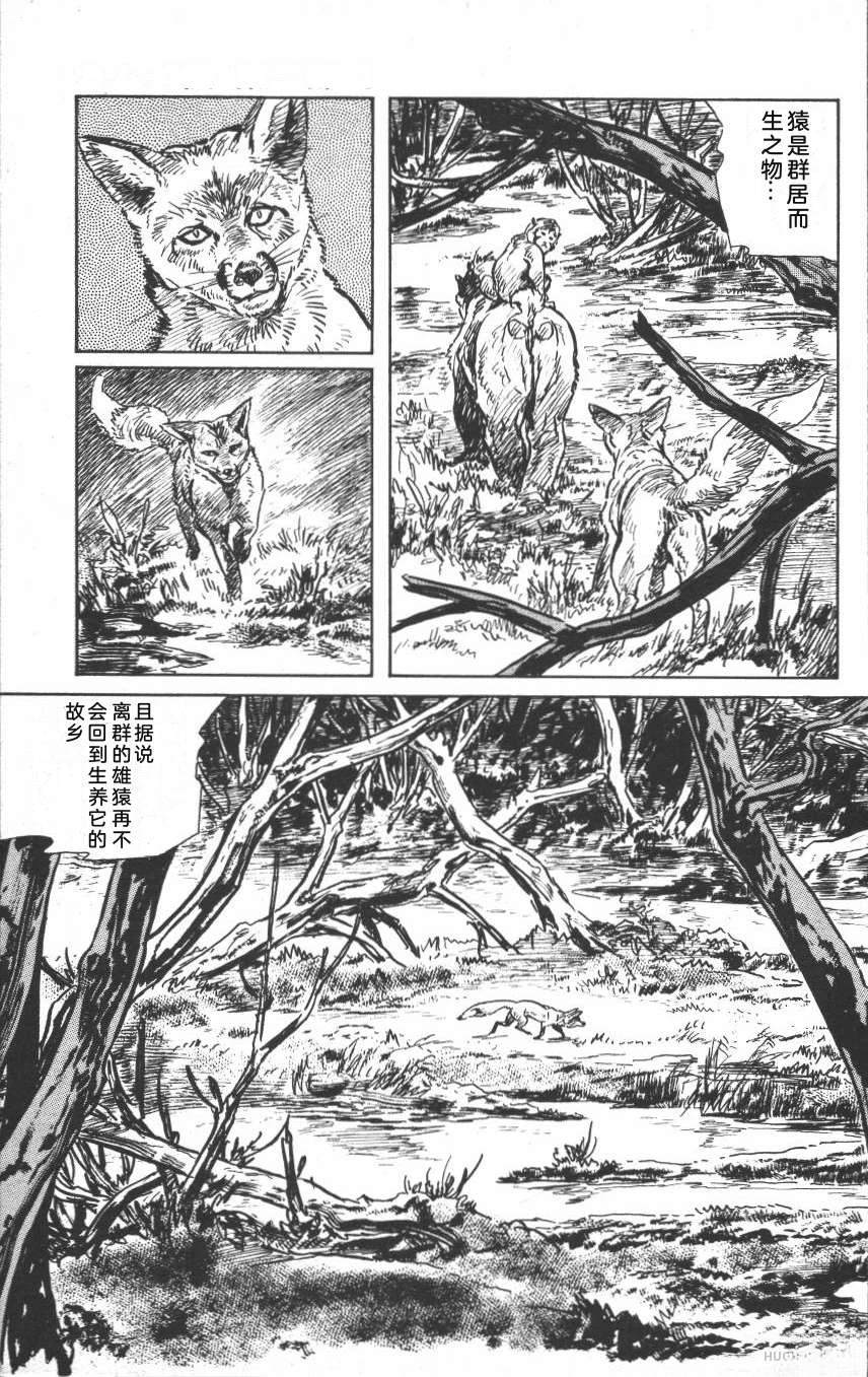 第137页