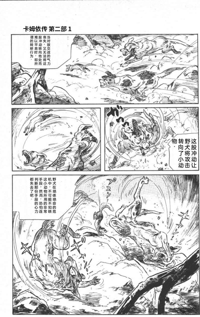 第191页