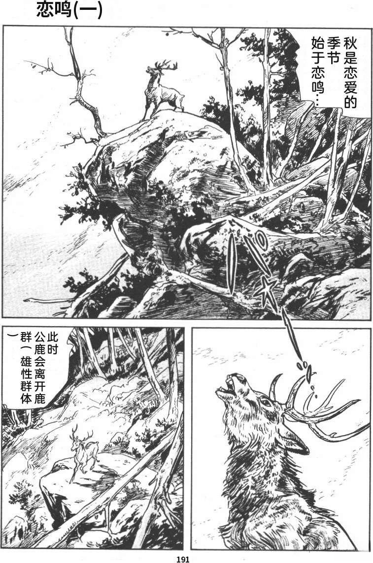第197页