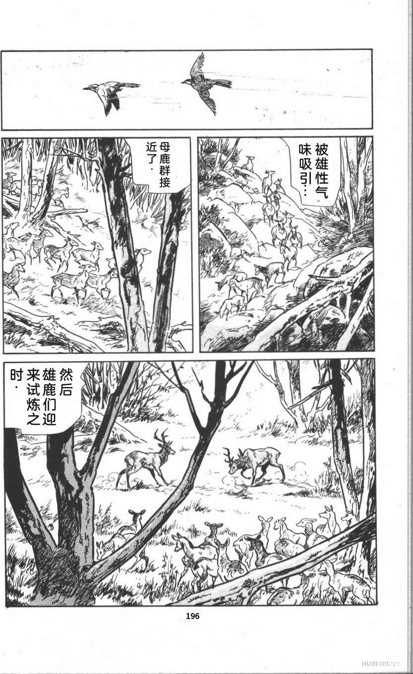 第202页