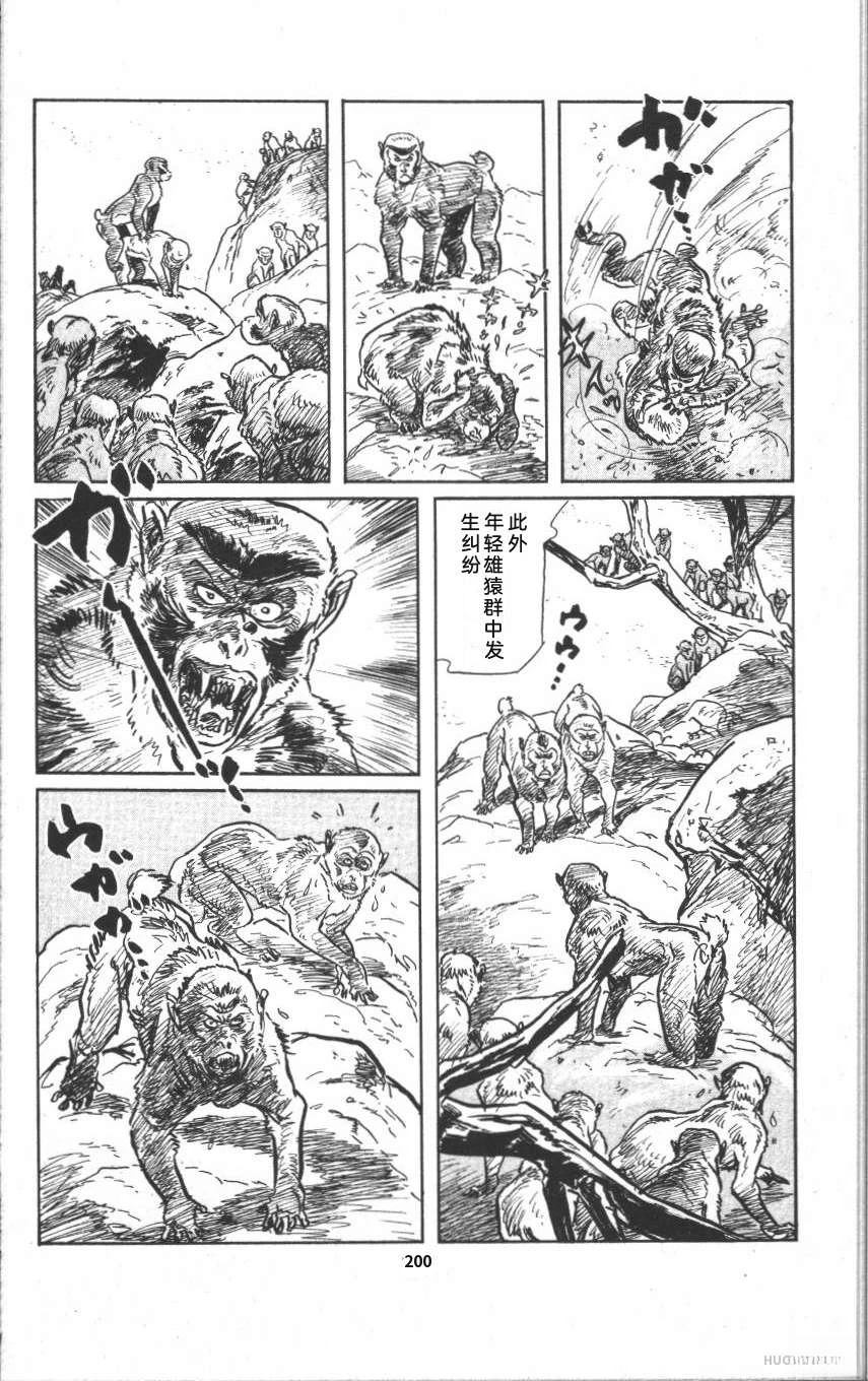 第206页