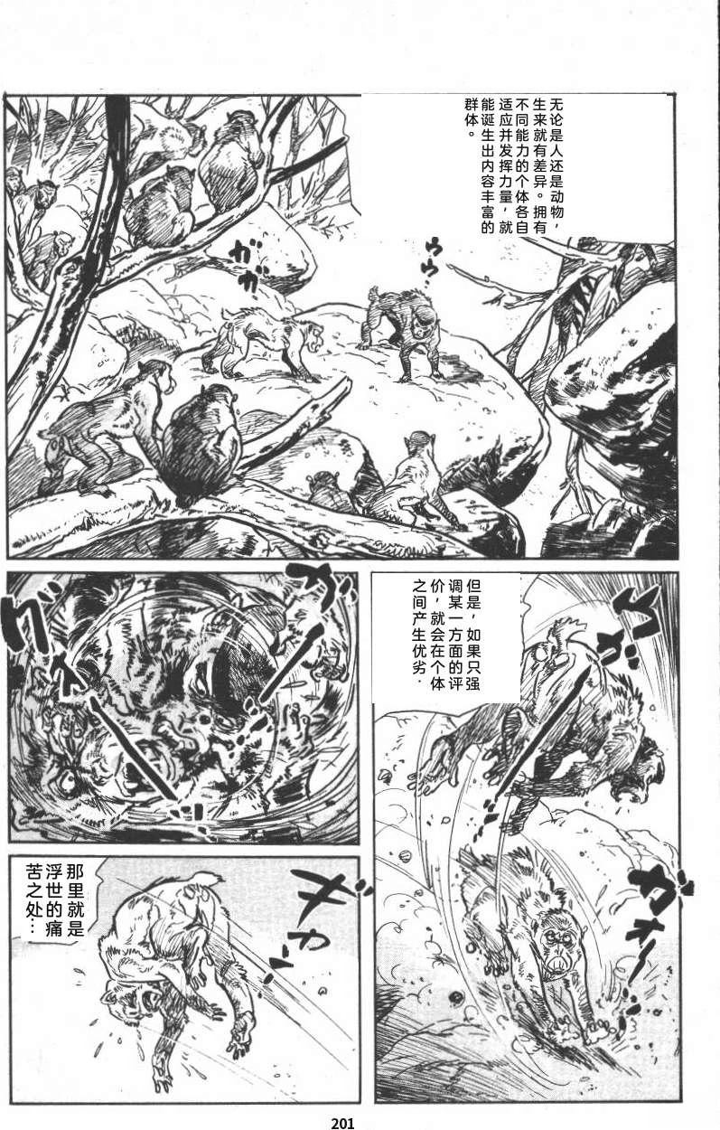 第207页