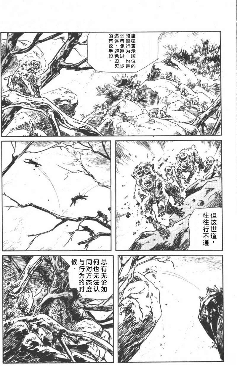 第209页