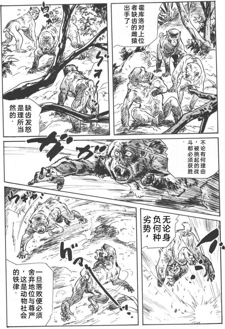 第217页