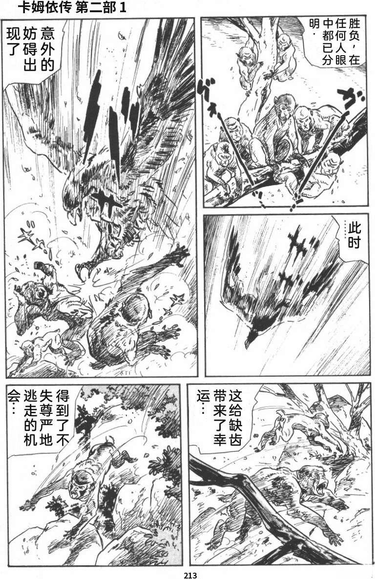 第219页