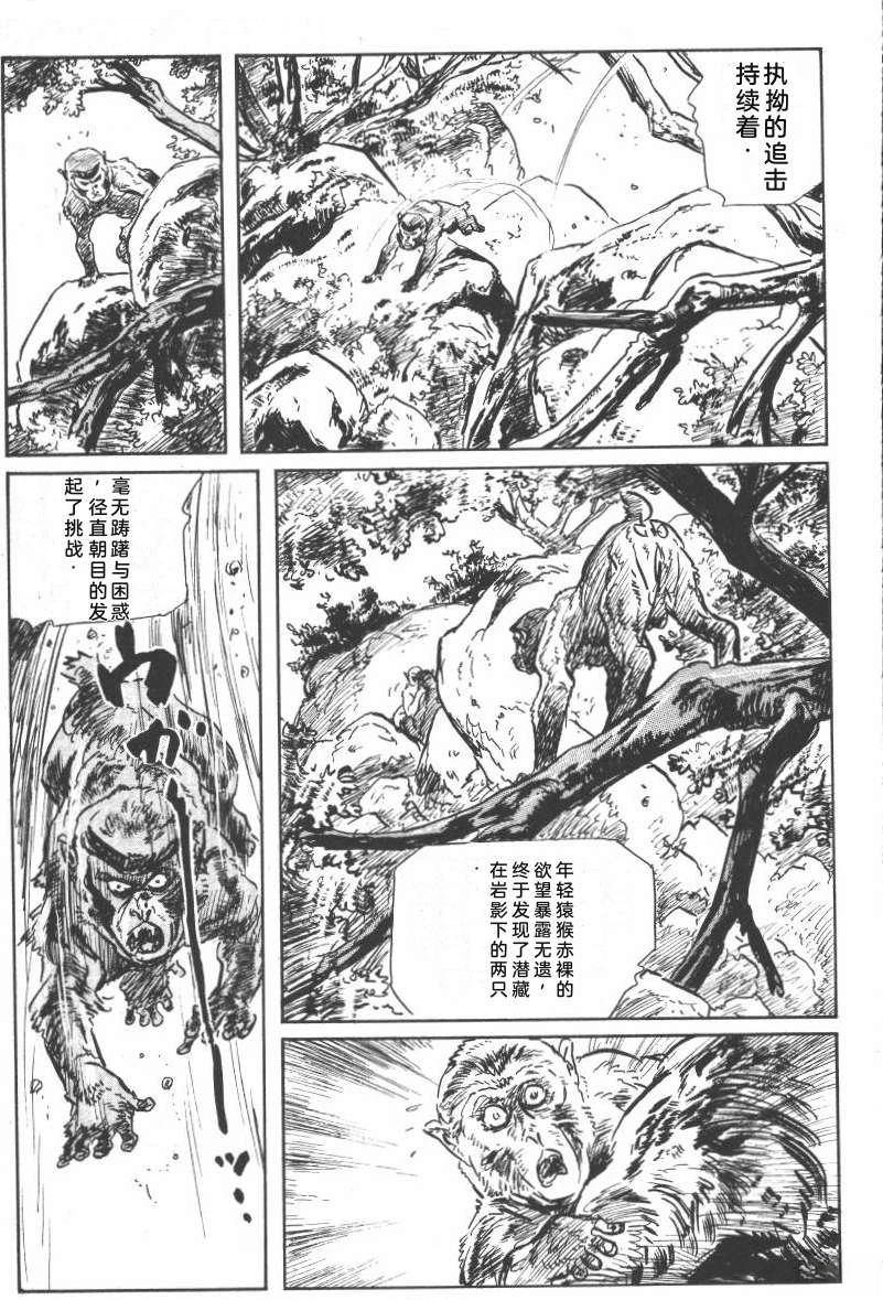 第221页
