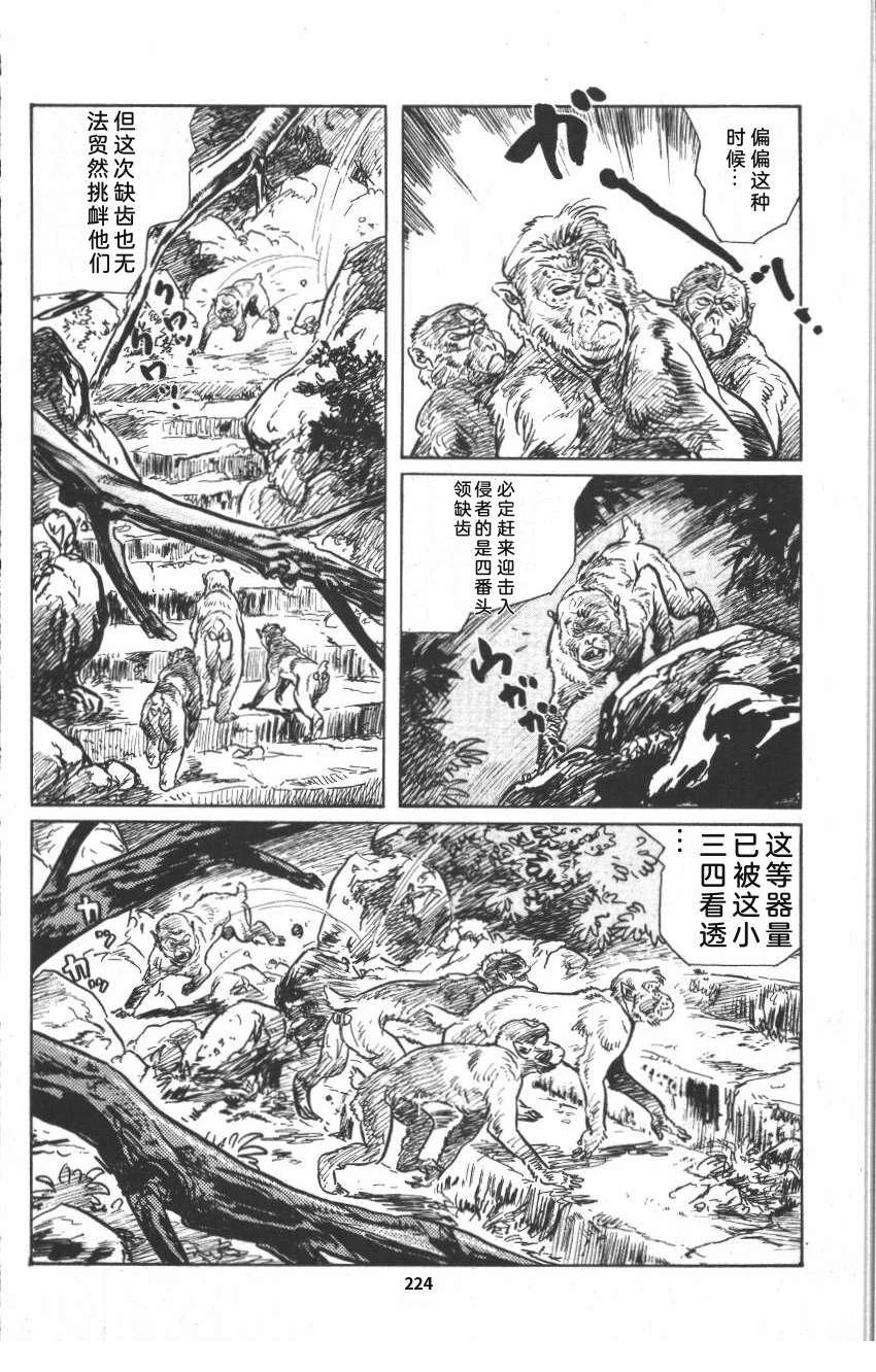 第230页