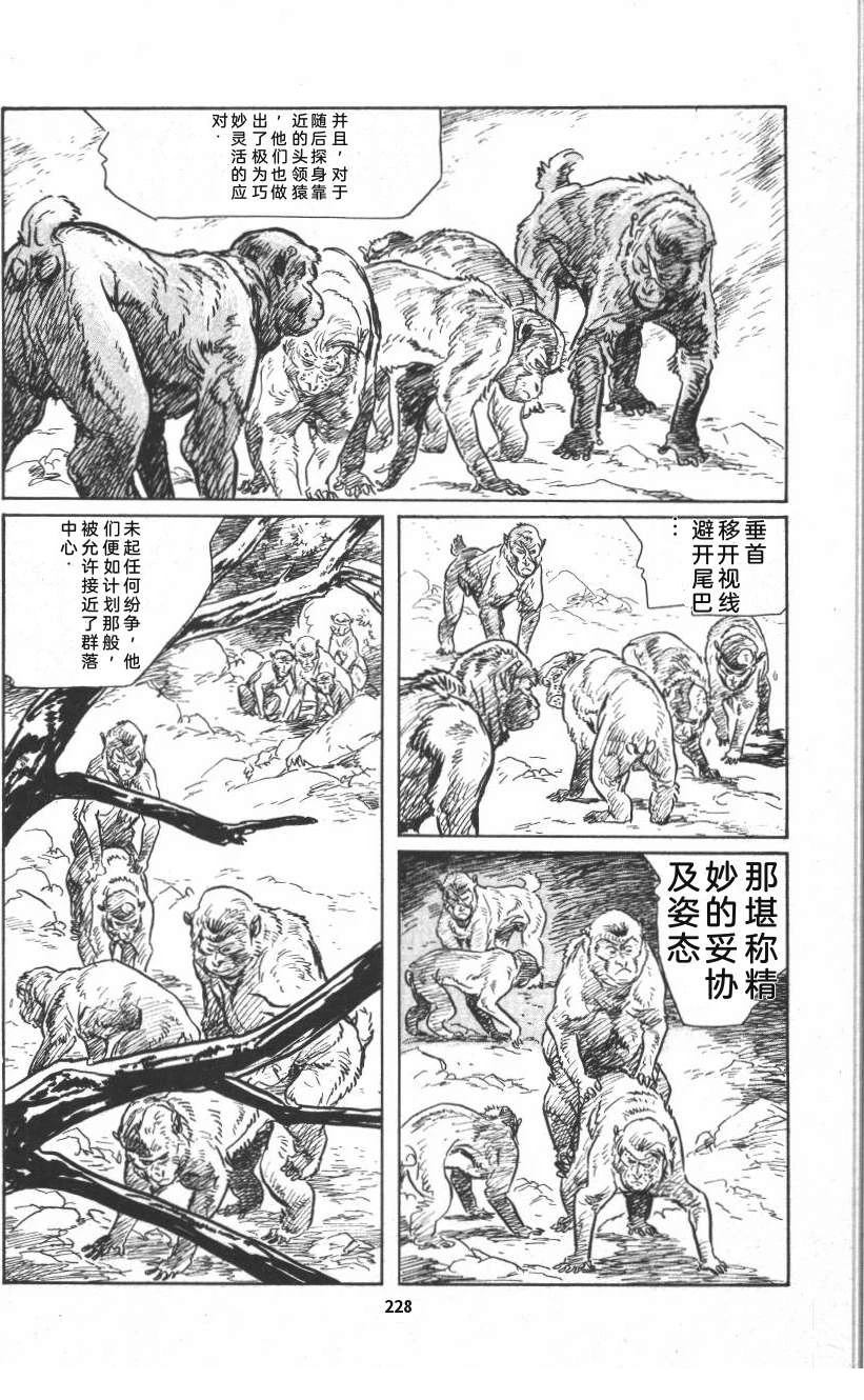 第234页