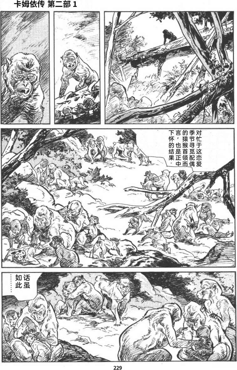 第235页