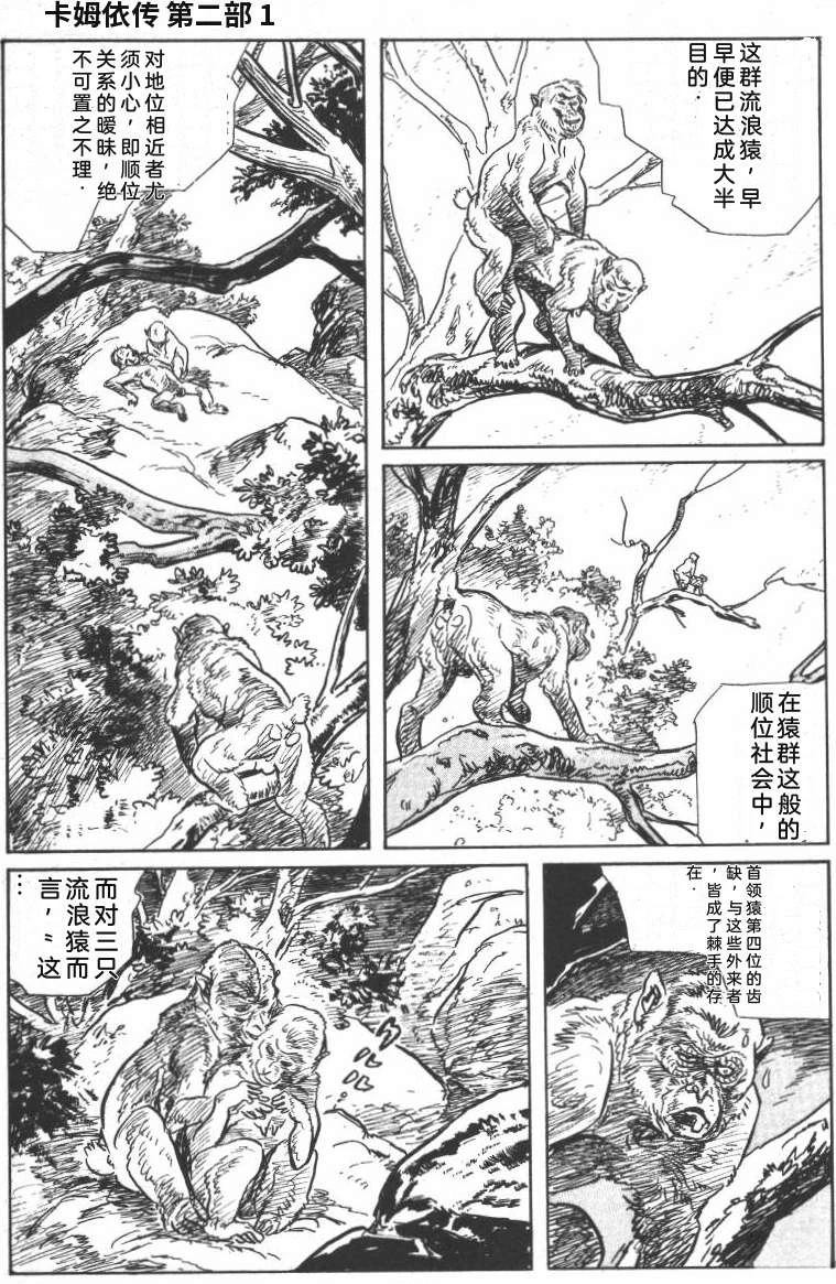 第239页
