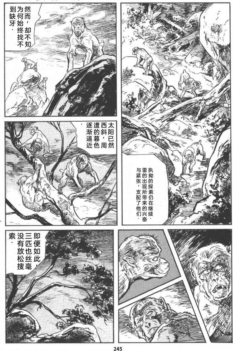 第251页