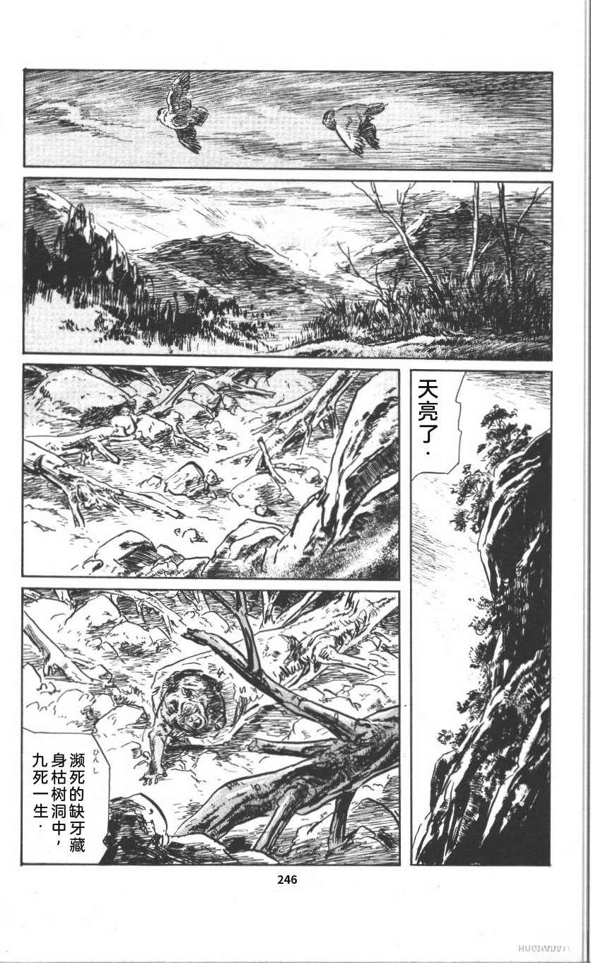 第252页