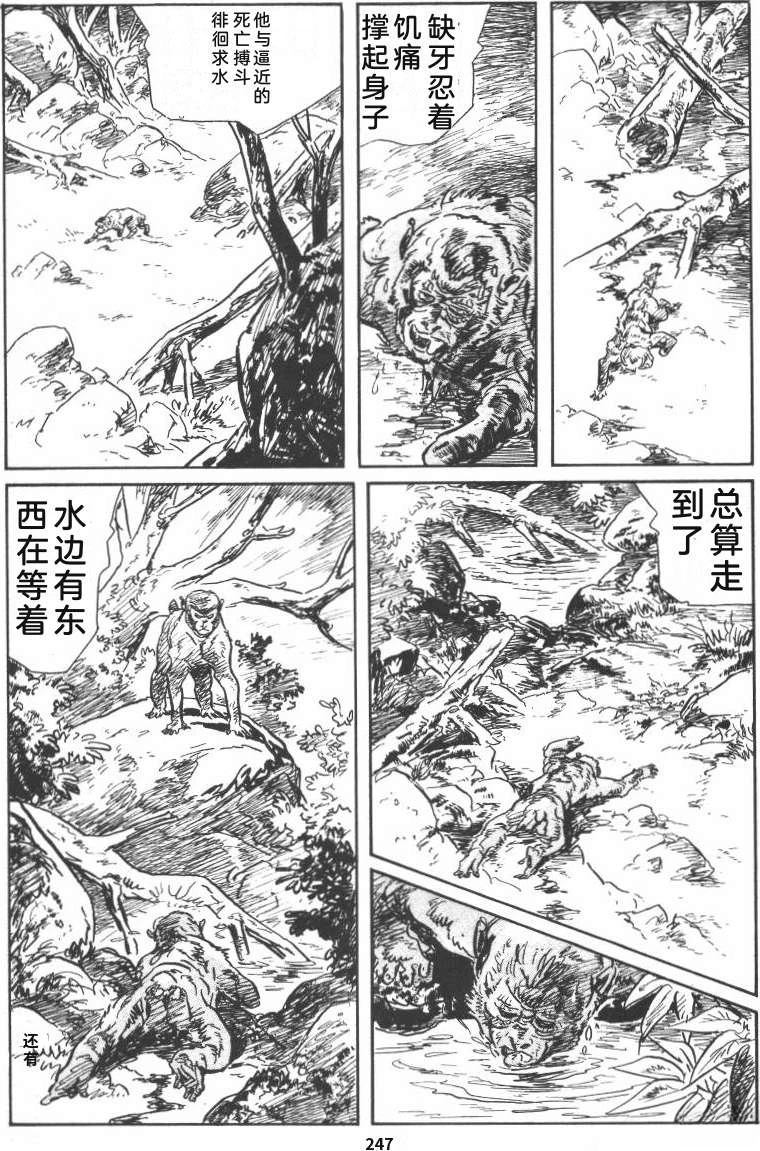第253页