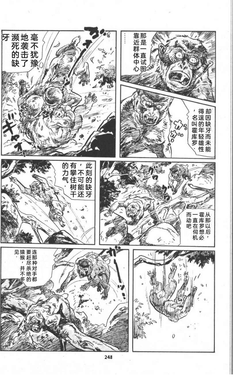 第254页