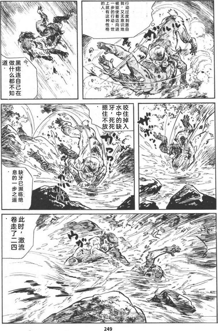 第255页