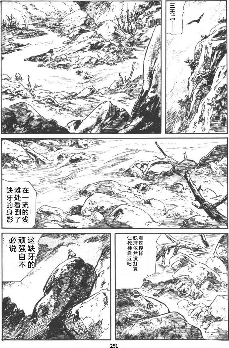 第257页
