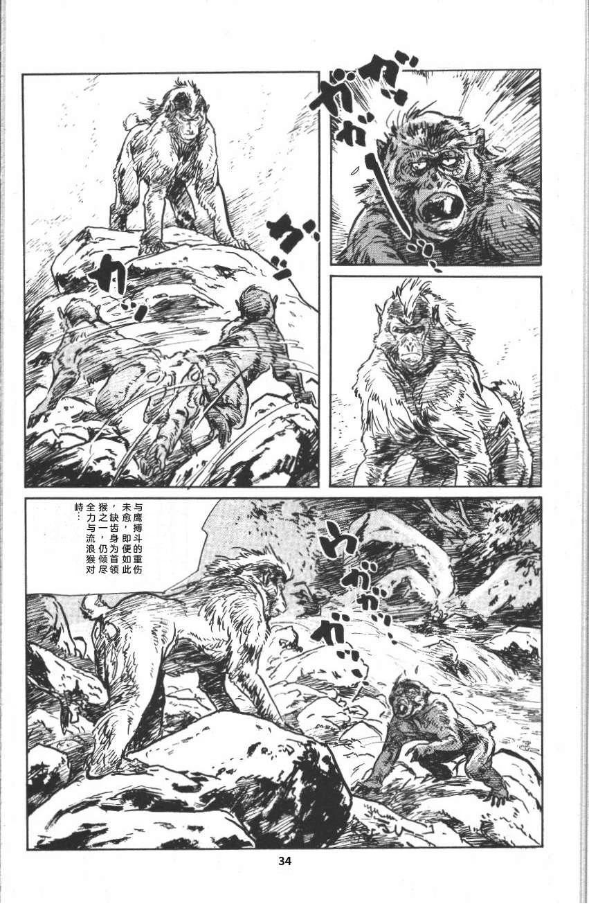 第40页