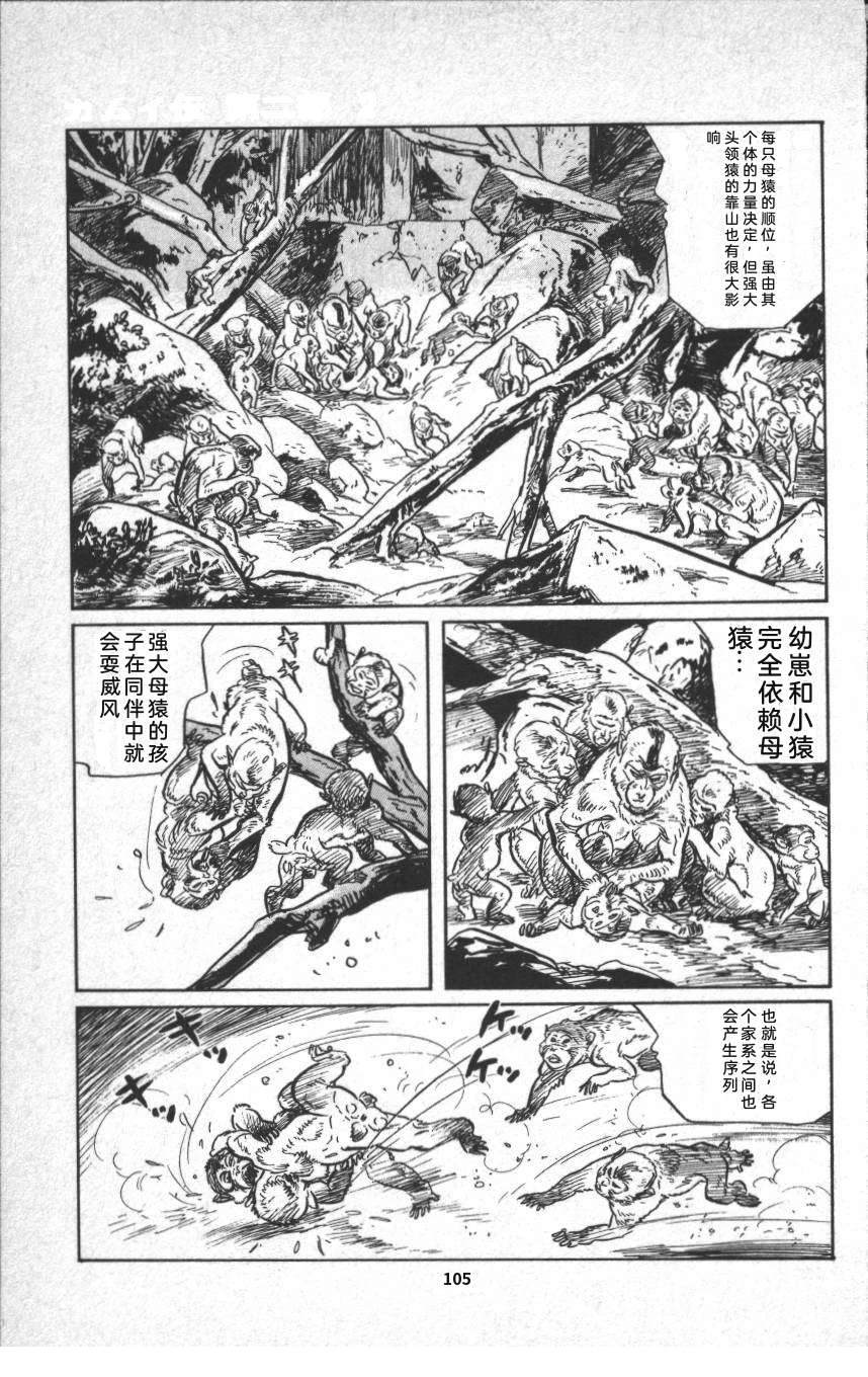 第111页