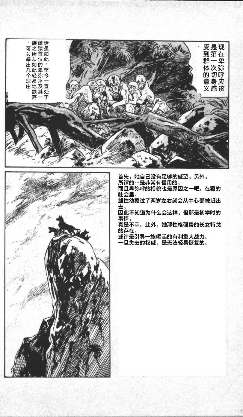 第142页