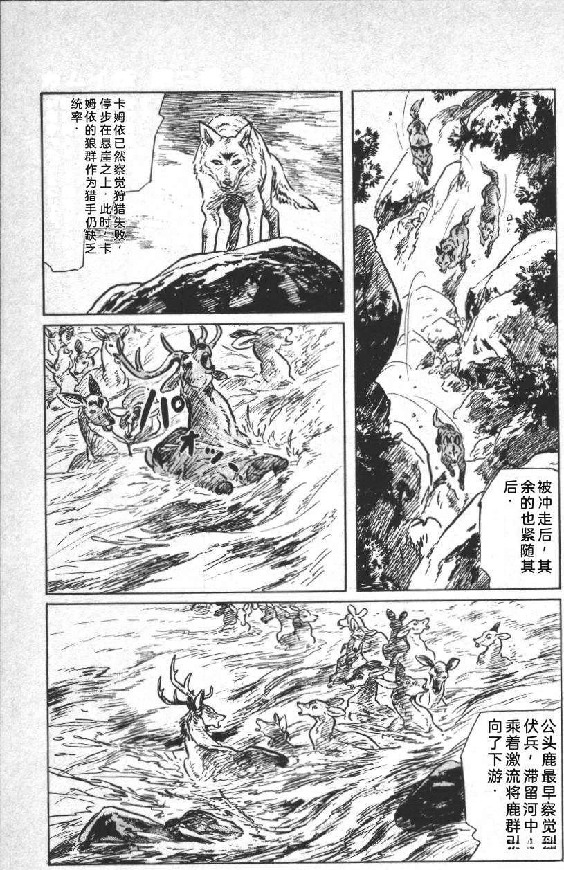 第145页