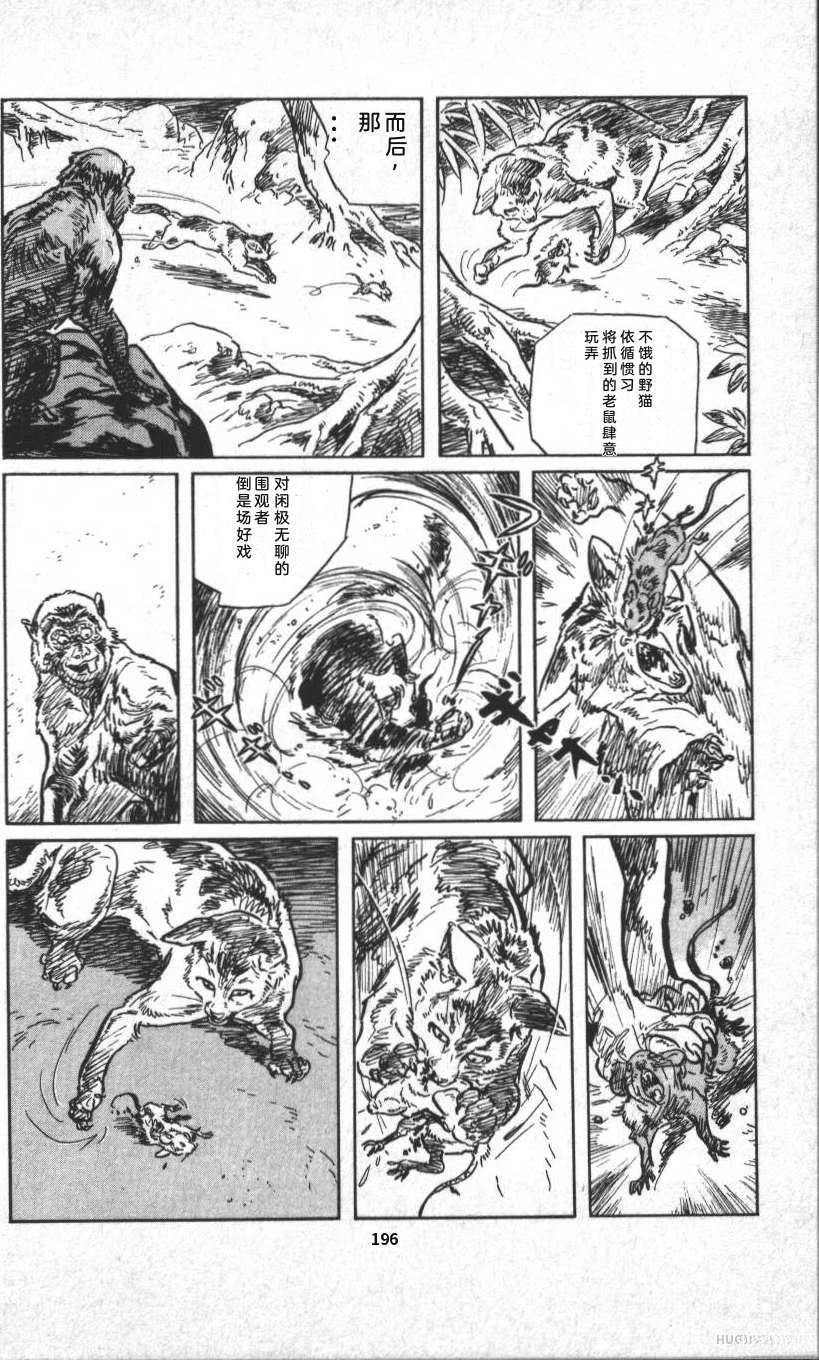 第202页