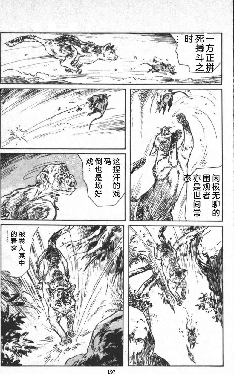 第203页