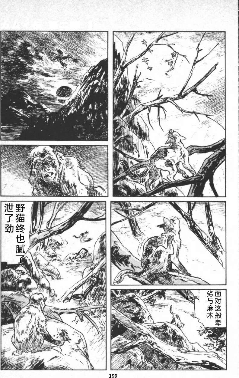 第205页