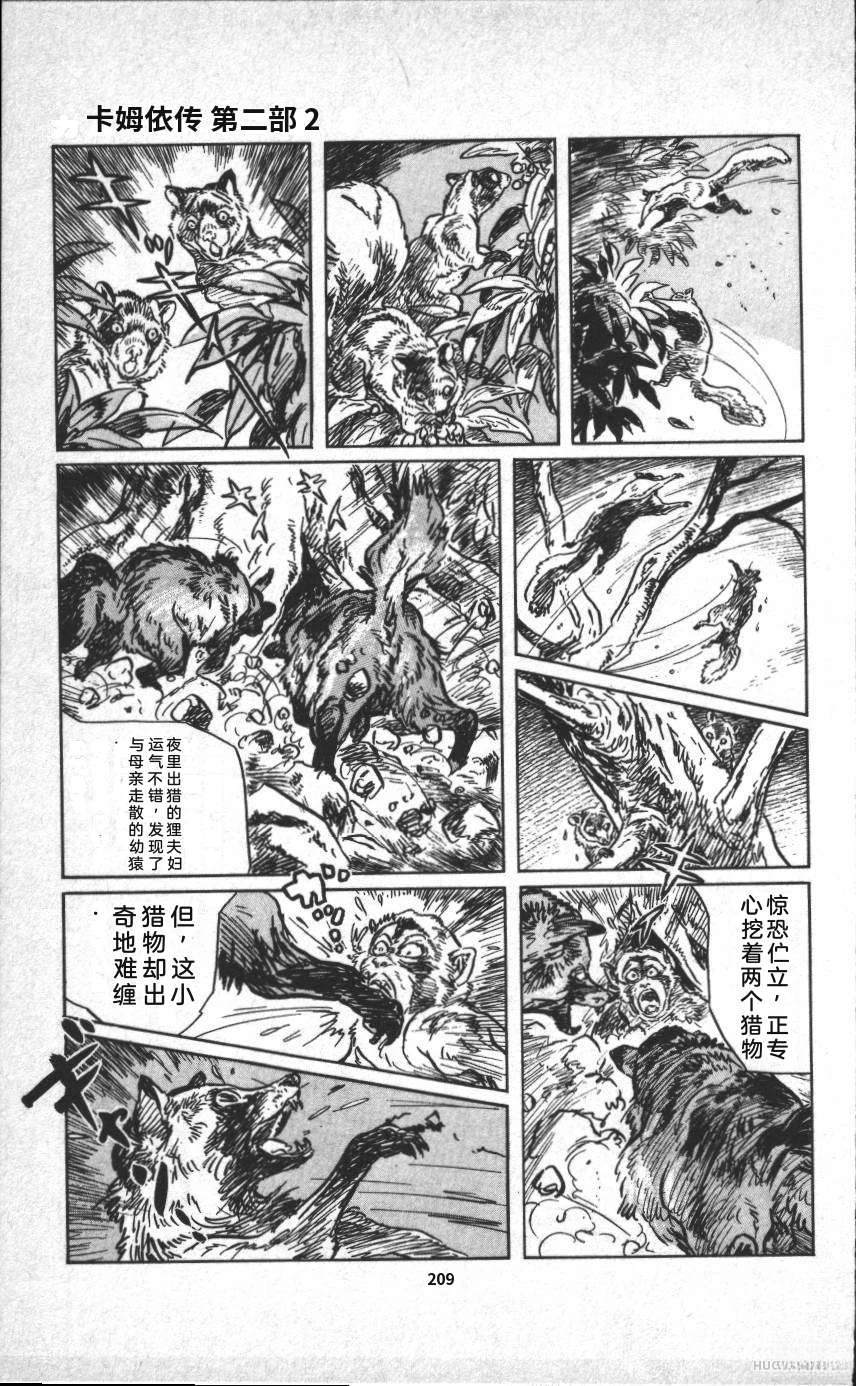 第215页