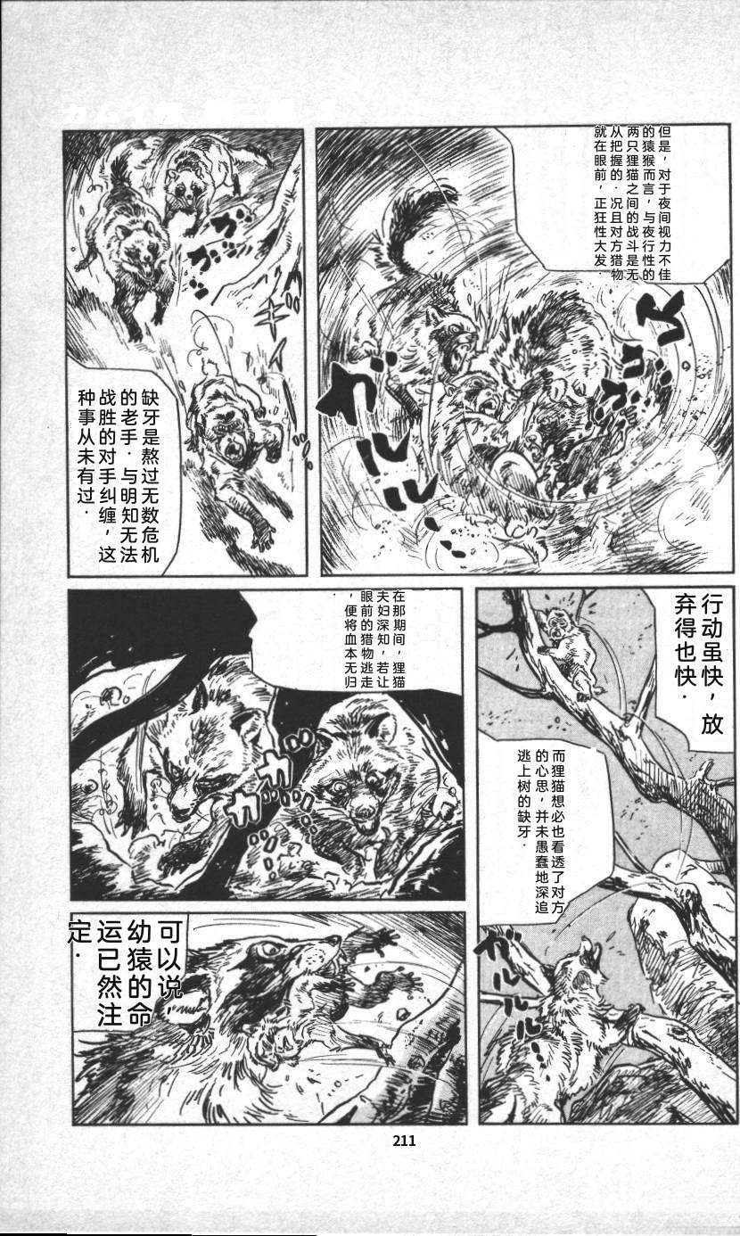 第217页