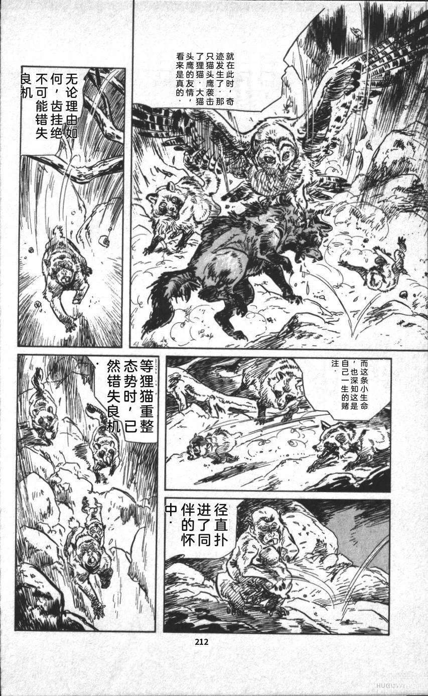 第218页