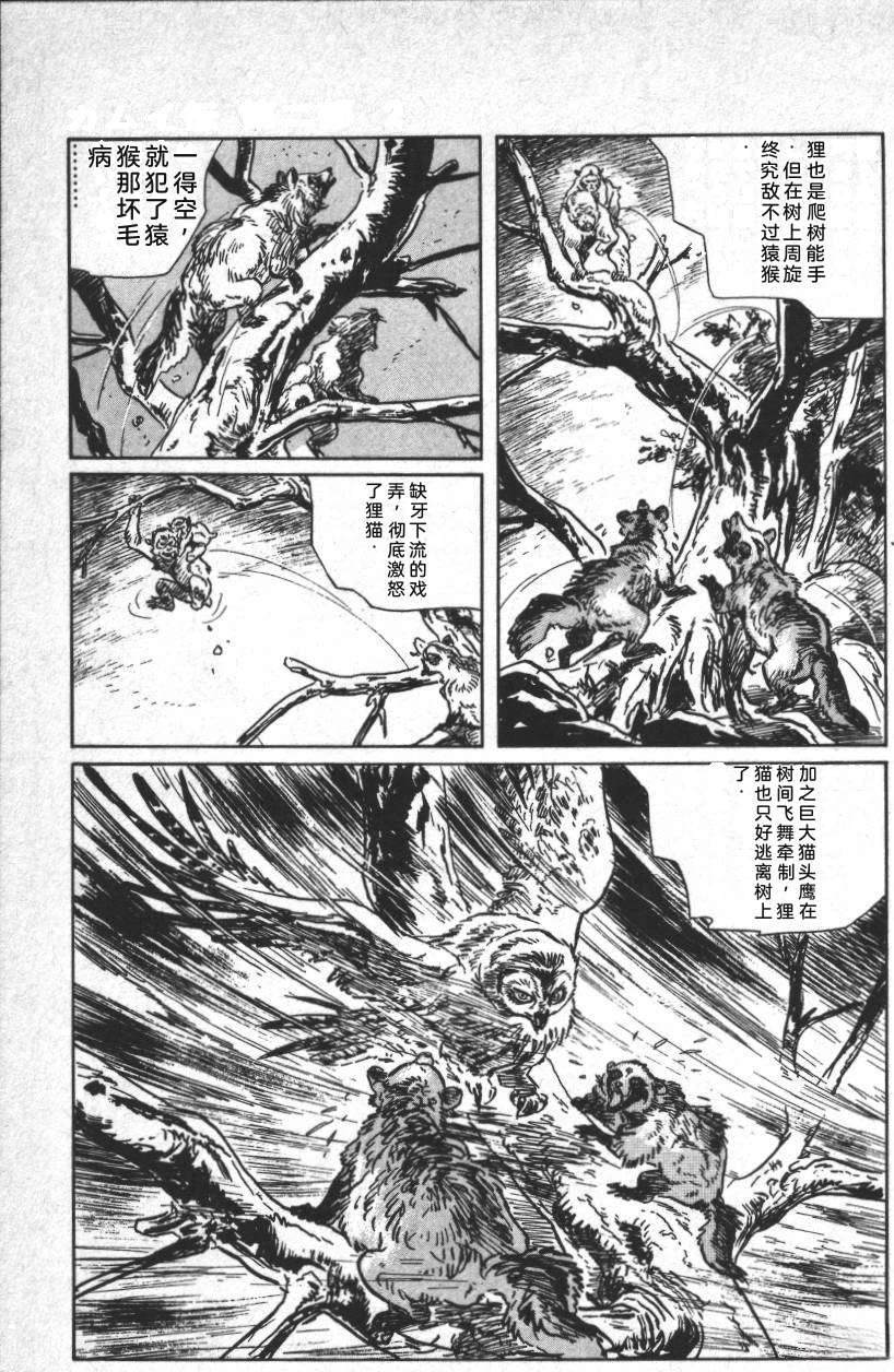 第219页