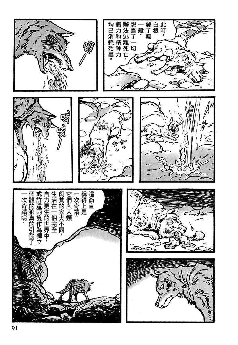第85页